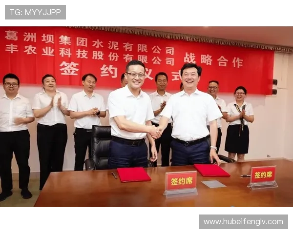 汇彩控股有限公司成功在香港上市对公司战略布局的深远影响探讨 汇彩控股有限公司成功在香港上市对公司战略布局的深远影响探讨