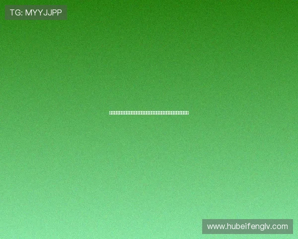 如何在六合彩游戏官网上进行高效投注，掌握专家推荐的投注技巧与策略