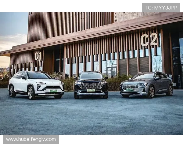 摩卡体育娱乐在行业中的竞争优势及未来发展方向全面解析