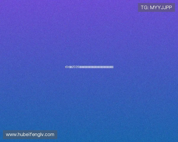 r0r体育2026世界杯赛场风云，现场直击赛事热点与球迷互动盛况